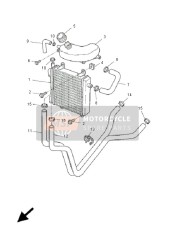 Radiator & Slang